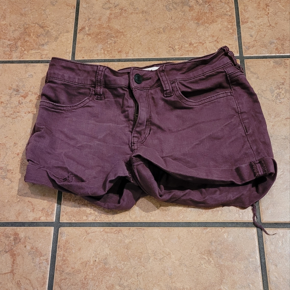 PacSun Short Shorts! Size: 25
